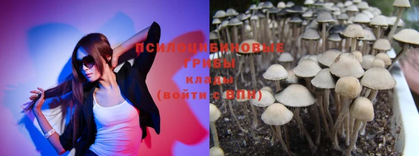 мескалин Краснослободск