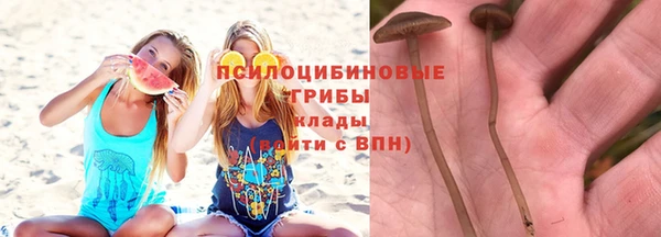 кокс Лабытнанги
