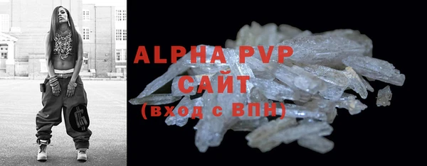 прущие грибы Корсаков