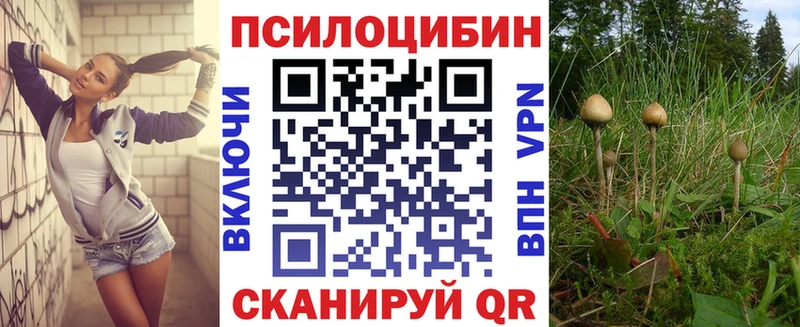магазин продажи наркотиков  Курлово  Псилоцибиновые грибы мицелий 
