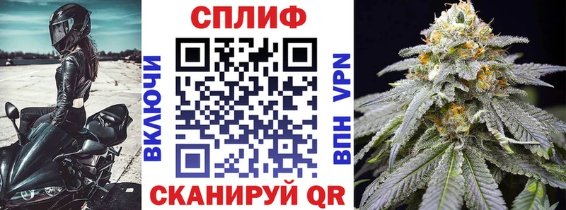 МАРИХУАНА семена  Курлово 